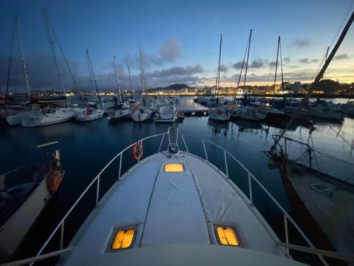 Corralejo Boat Experience