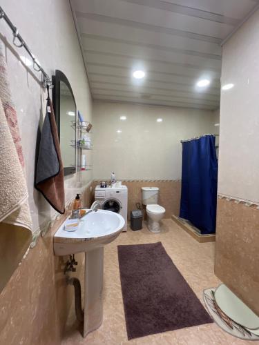 a bathroom with a sink and a toilet in a room at Marikuna in Gori