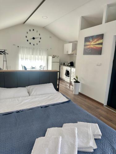 a large bedroom with a large bed and a kitchen at Lane Stay Studio in Beograd