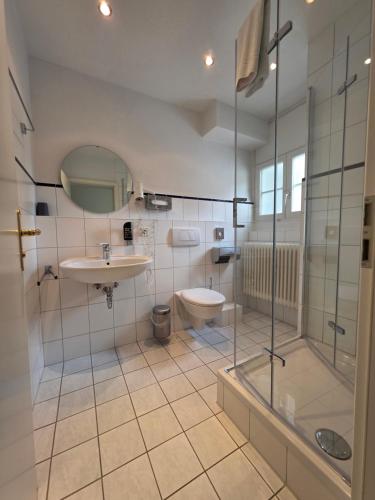 a bathroom with a shower and a sink and a toilet at Brauerei Walter in Waldshut-Tiengen