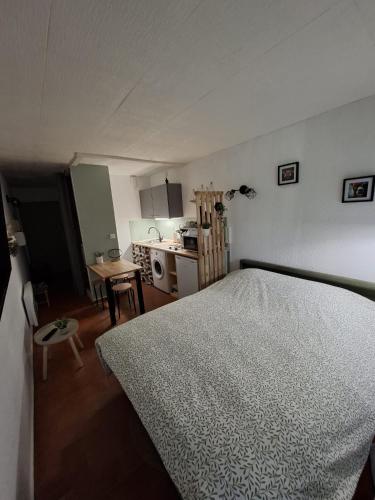 Studio cabine Pointe Vermeille
