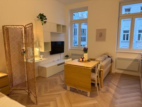 Renovated Stylish Apartment near Center
