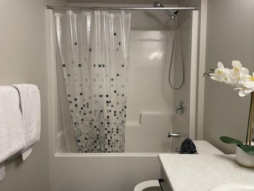 a white bathroom with a shower with a curtain at Mary's Luxury Suite in Winnipeg