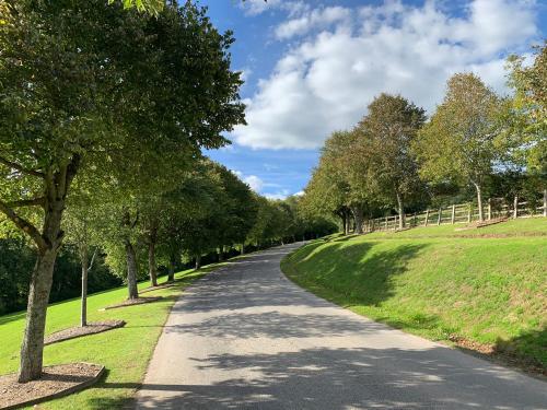 a winding road with trees on both sides at Lazy Bear Lodge with Hot Tub - Finlake Resort and Spa in Devon in Chudleigh