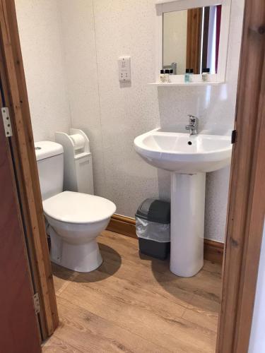 a bathroom with a toilet and a sink at Y Llew Coch Tregaron in Tregaron