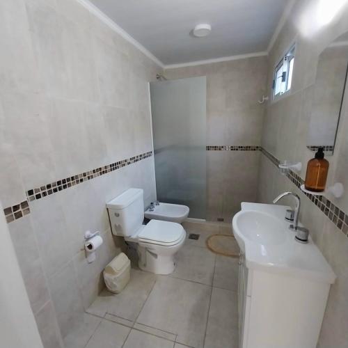 a white bathroom with a toilet and a sink at La Ñata Apart in Junín