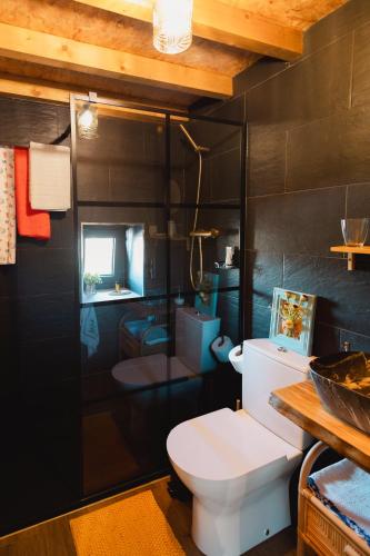 a bathroom with a white toilet and a black wall at Casa do Cancelo in Mondim de Basto