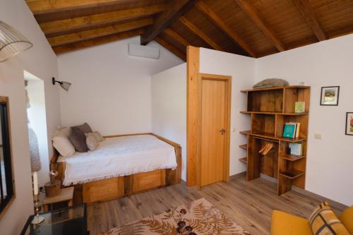a bedroom with a bed and a book shelf at Casa do Cancelo in Mondim de Basto