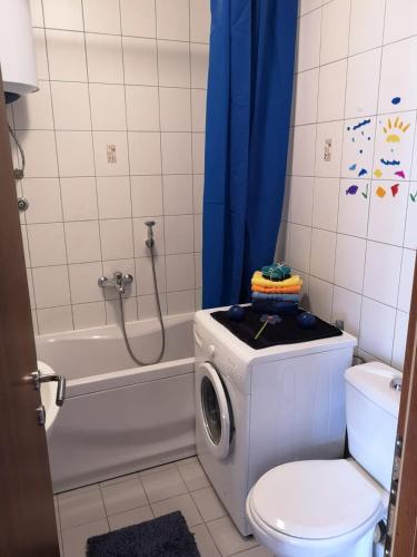a bathroom with a toilet and a shower with a washing machine at Risinium sun in Risan