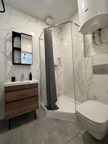 a bathroom with a shower and a toilet and a sink at River House in Lazeshchyna