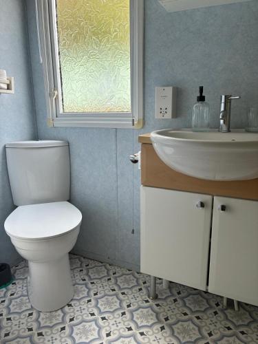 a bathroom with a toilet and a sink at The Mosselle No 60 in Ardentinny
