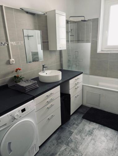 a bathroom with a sink and a washing machine at 3 pièces TERRASSE et JACUZZI in Nîmes