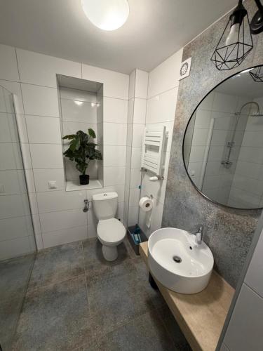 a bathroom with a toilet and a sink and a mirror at Kwatery Biała in Stara Biała