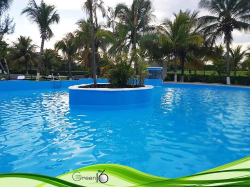 a view of the pool at the resort at Hotel Green 16 in Cancún