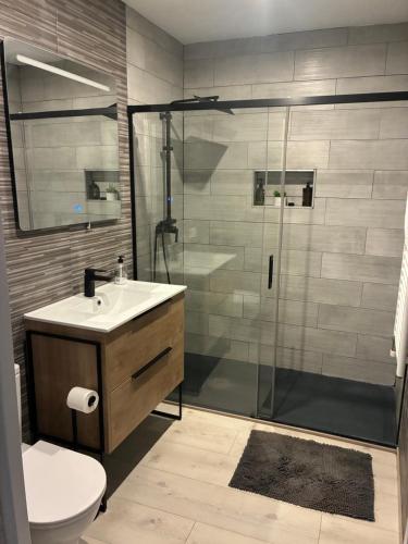 a bathroom with a shower and a sink and a toilet at Apartamento en Mansilla in Mansilla de las Mulas