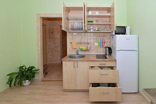 una pequeña cocina con fregadero y nevera. en Central Apartments Karolina en Druskininkai
