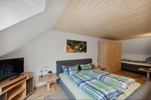 a bedroom with a bed and a flat screen tv at Haus am Scheibenfelsen in St. Blasien