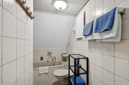 a bathroom with a toilet and a sink and a tub at Haus am Scheibenfelsen in St. Blasien