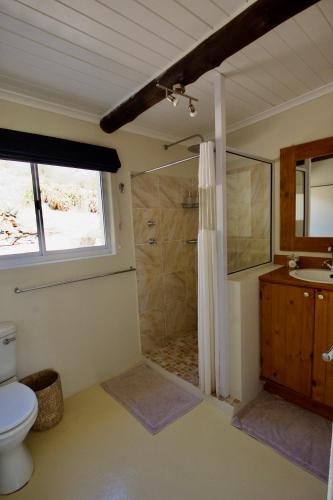 a bathroom with a shower and a toilet and a sink at Featherwood Cottage in Malgas