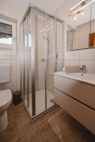 a bathroom with a shower and a toilet and a sink at Unterwötzlhof in Abtenau
