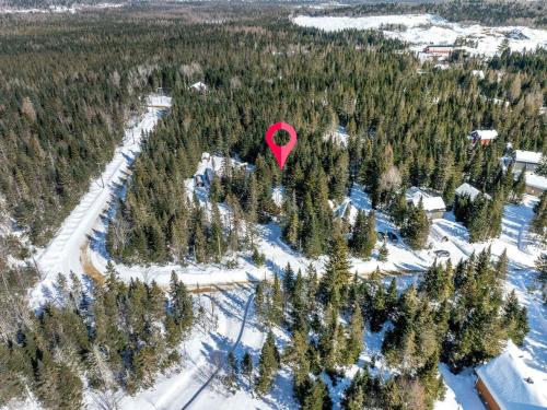 a red balloon flying over a forest of trees at Le Sherwood #4 Shannon in Valcartier Station