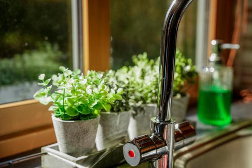 a kitchen sink with potted plants on a window sill at Willow Lodge in Knighton