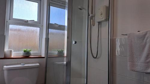 a bathroom with a shower and a toilet and a window at C35 Le Grace, Riviere Towans in Hayle