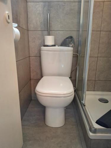 a bathroom with a white toilet and a shower at Maison de vacances Etoile de mer 2 in Koksijde