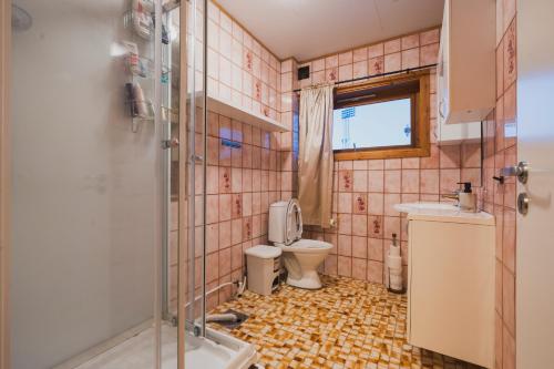 a bathroom with a toilet and a sink and a shower at NORD Apartment in Tromsø