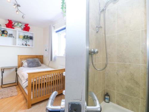 a bedroom with a crib and a shower and a bed at Snowdonia View in Pwllheli