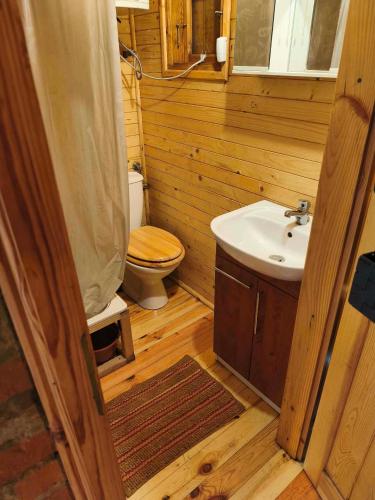 a wooden bathroom with a toilet and a sink at Zofiówka las in Zofiówka