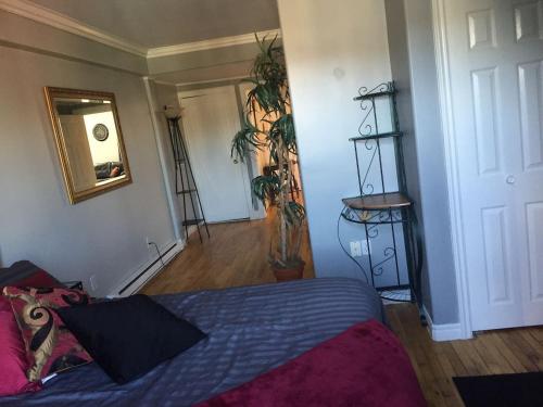 a bedroom with a bed and a mirror on the wall at Downtown Apt 5 Private Deck Queens Road in St. John's