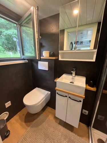 a bathroom with a white toilet and a sink at Tiny House Spreemaus in Hangelsberg