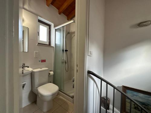 a bathroom with a toilet and a walk in shower at Four Stories Lefkara in Pano Lefkara