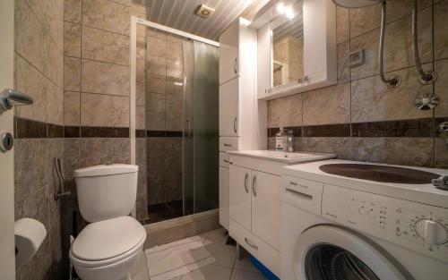 a bathroom with a toilet and a sink and a washing machine at Olive View apartment in Rafailovici