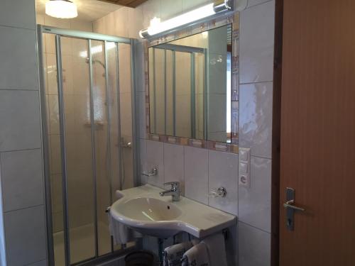 ein Bad mit einem Waschbecken, einer Dusche und einem Spiegel in der Unterkunft Haus-Nummer 355 bei Renate & Roland in Pfunds