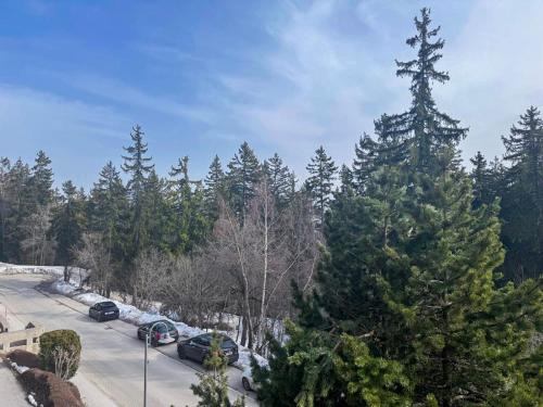 Crans Forest B