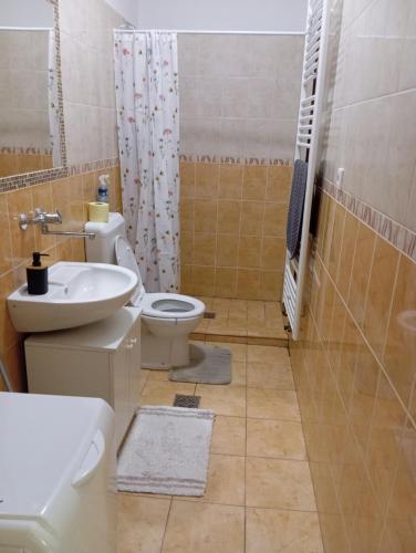 a bathroom with a toilet and a sink at Sprencz Családi Major in Sátoraljaújhely