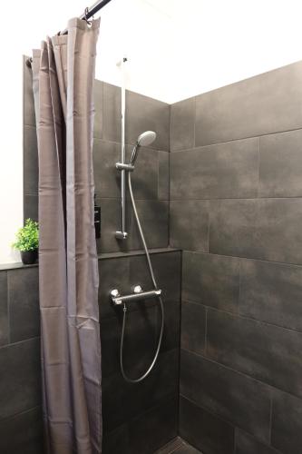a shower with a shower head in a bathroom at nurHotel in Reinbek