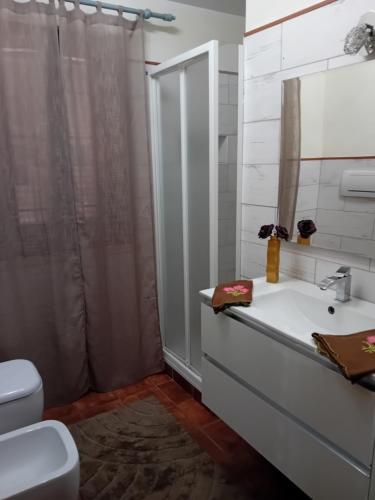 a bathroom with a sink and a shower at Aghi&Salsedine in Anzio