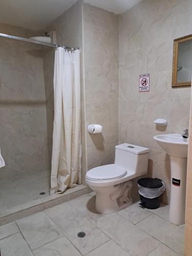a bathroom with a toilet and a shower and a sink at Rossa Mia Hotel Boutique in Quito