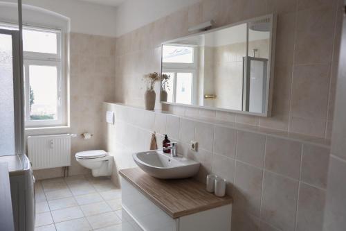 a bathroom with a sink and a toilet and a mirror at Boutique Suite Hannah in Bautzen