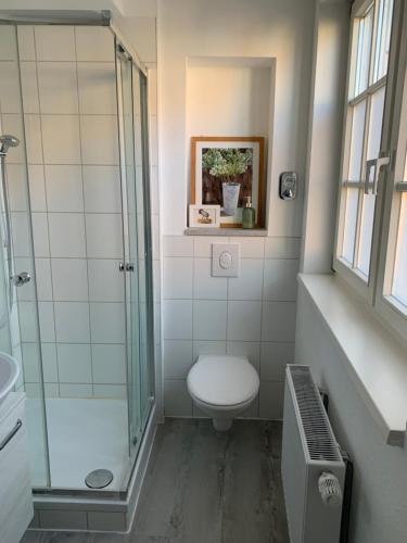 ein Badezimmer mit Toilette und Glasdusche in der Unterkunft Ellerbach WG Komfortables Privatzimmer in Bad Kreuznach