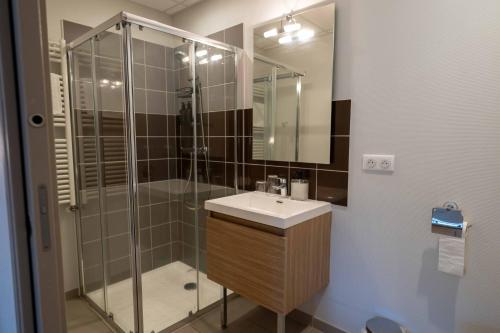 a bathroom with a shower and a sink and a mirror at Auberge du Cezallier in Montgreleix