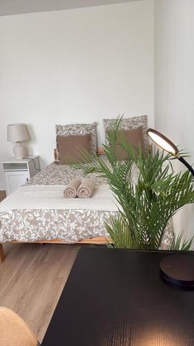Studio cosy - Reims