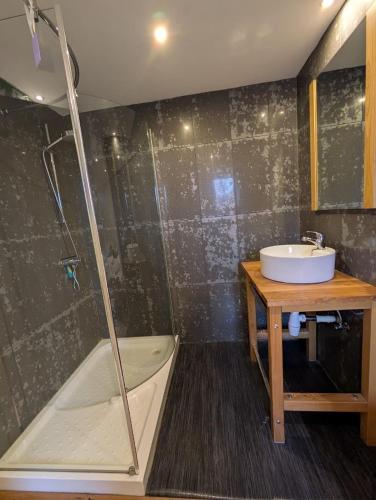 a bathroom with a shower and a sink and a tub at Dielpenhof in Zedelgem
