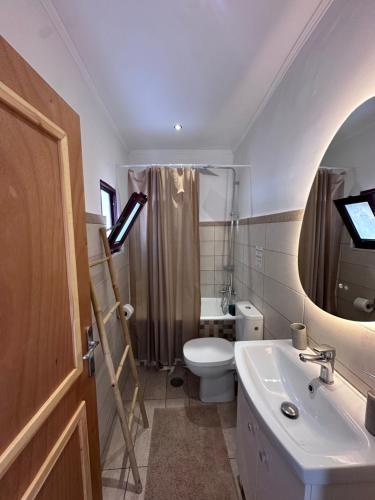 a bathroom with a toilet and a sink and a mirror at Maria’ s apartment in Lavrio