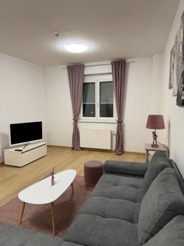 a living room with a couch and a table at Moderne zentrale Wohnung in Grosspetersdorf