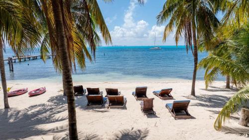 a beach with chairs and palm trees and the ocean at Villa Angela in Isla Mujeres