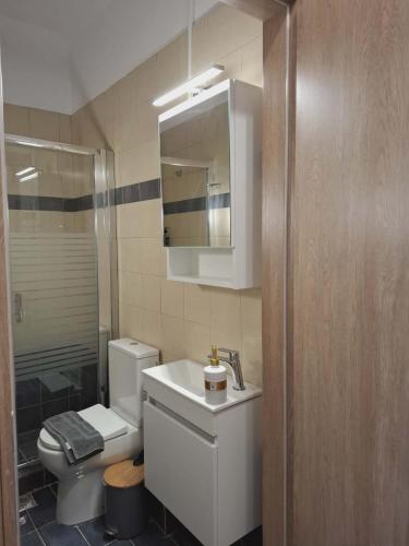 a bathroom with a toilet and a sink and a mirror at Studio Panos 2 in Mytilene